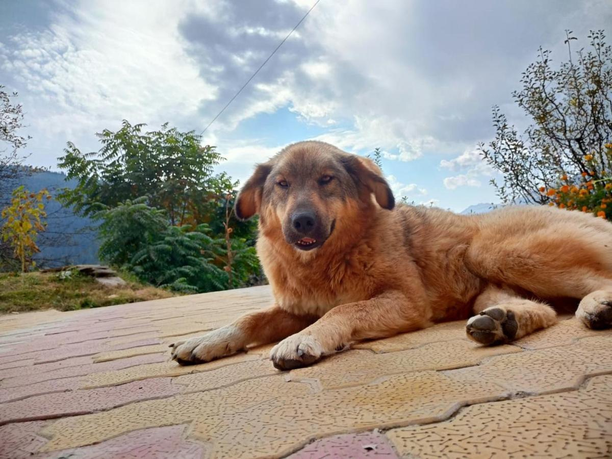 Soulville 2.0 Nagar  Dış mekan fotoğraf